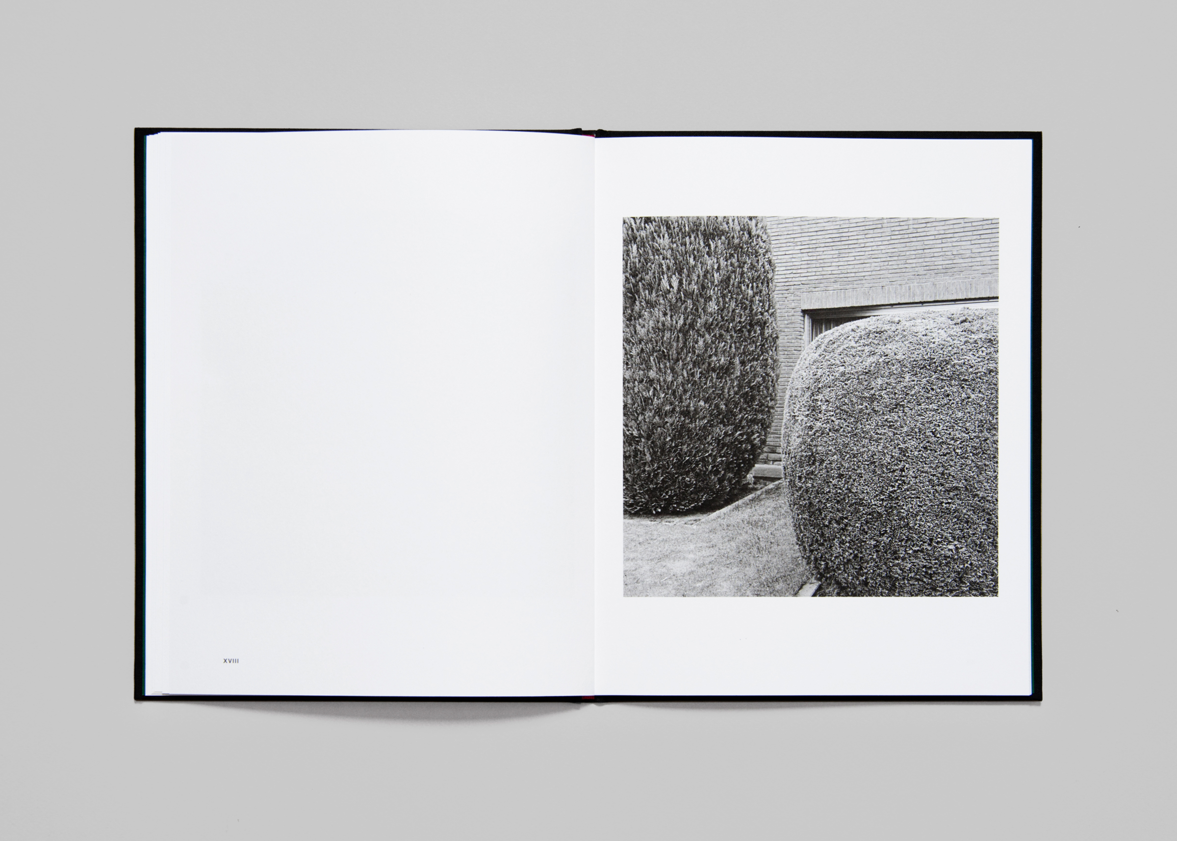 Dieter Daemen — No Place Like Home — Book