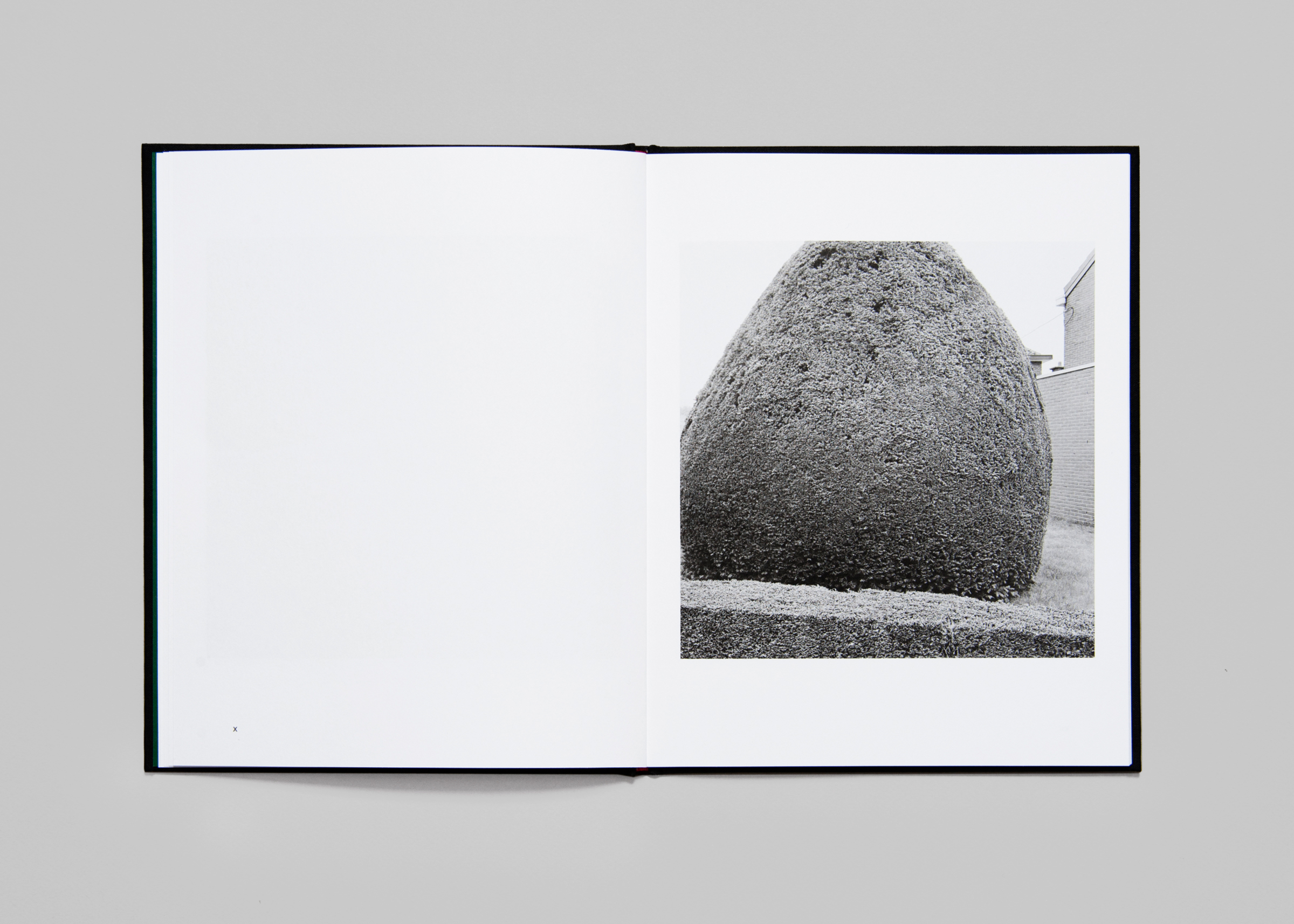 Dieter Daemen — No Place Like Home — Book