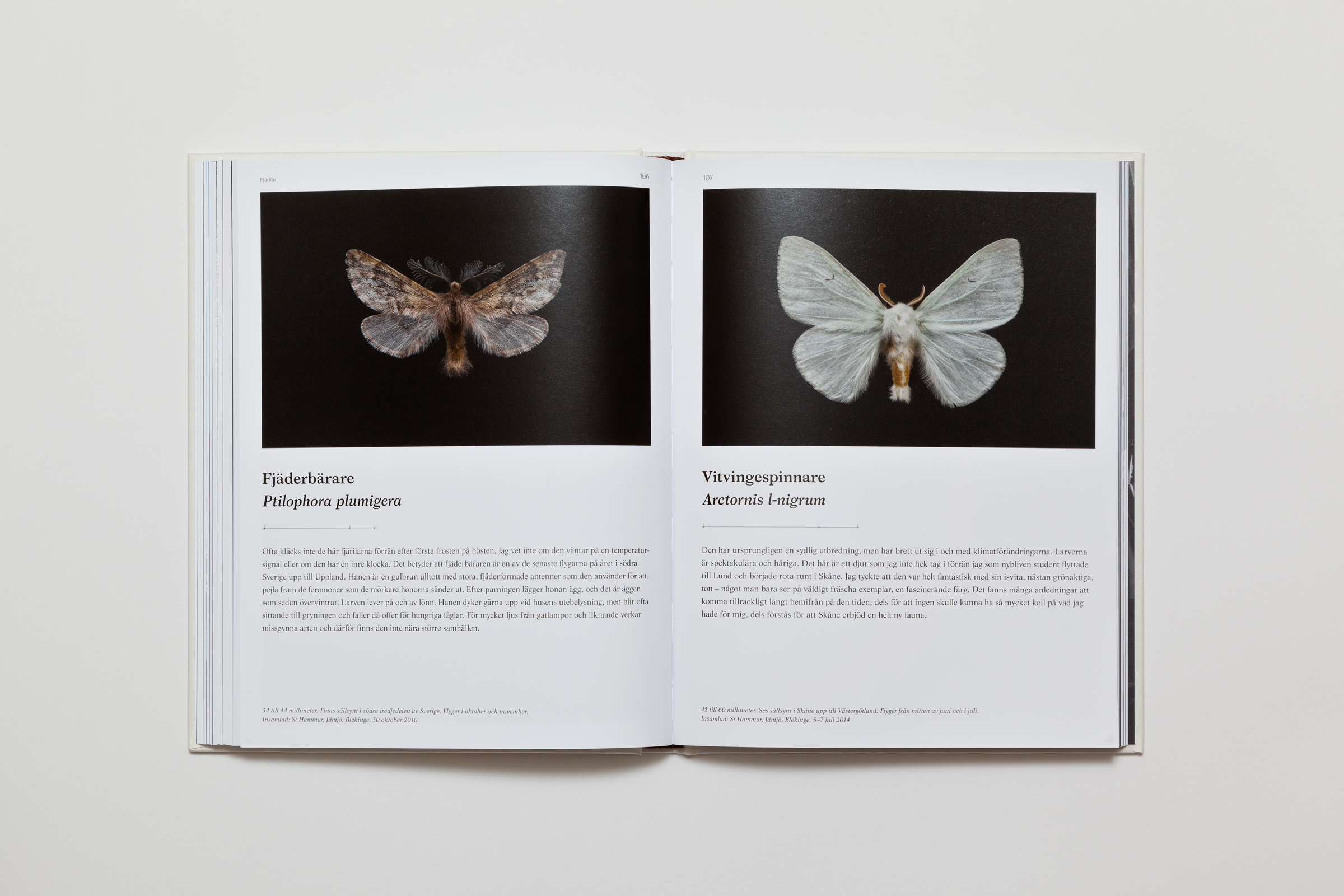 Peder Edvinsson & Bobo Olsson — Fjärilsmannen — Book
