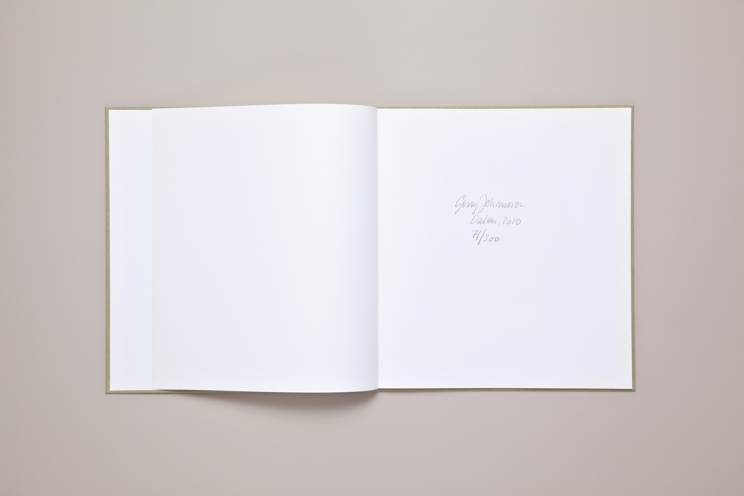 Gerry Johansson — Dalen — Book