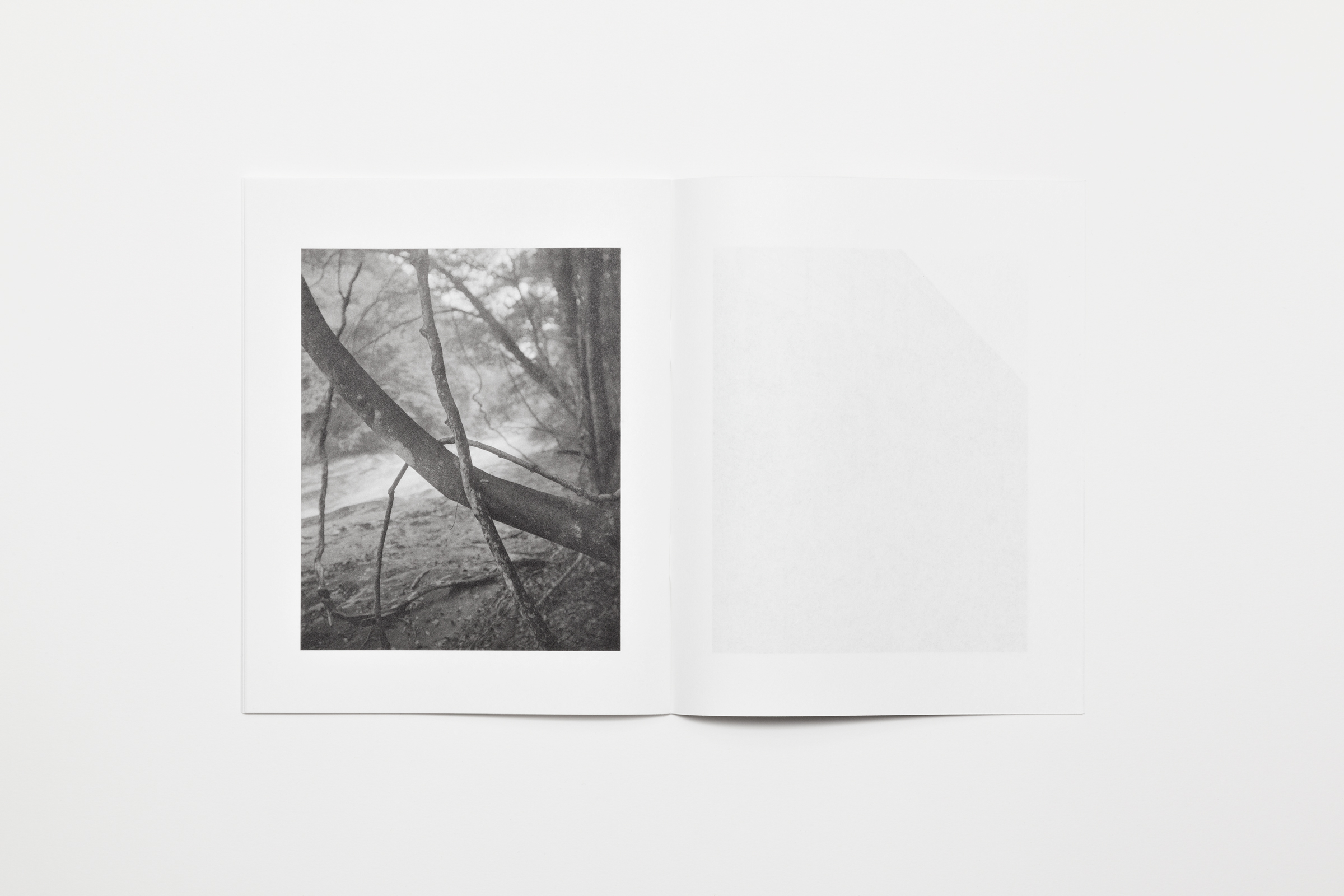 Gerry Johansson — Tree Stone Water — Book