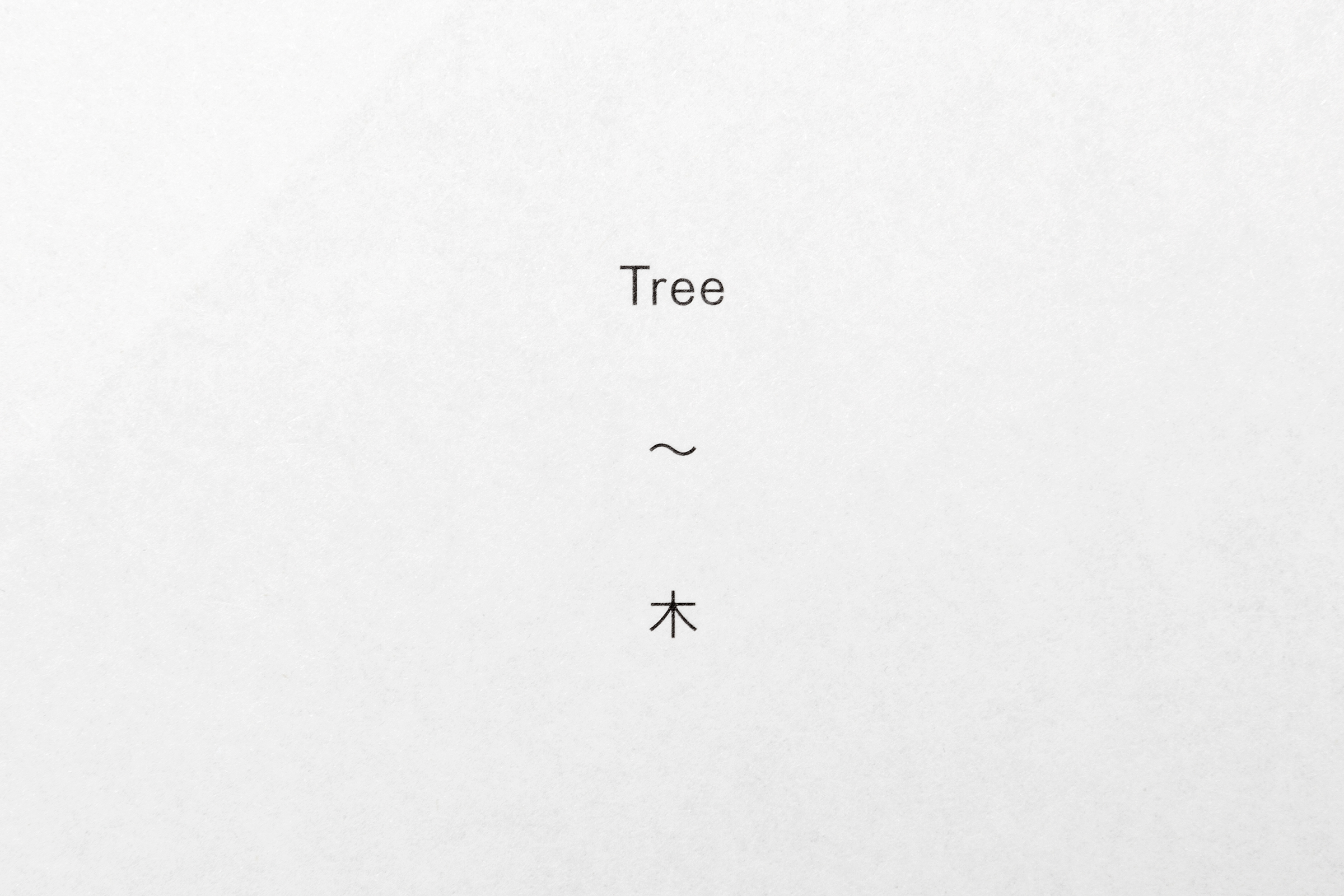 Gerry Johansson — Tree Stone Water — Book