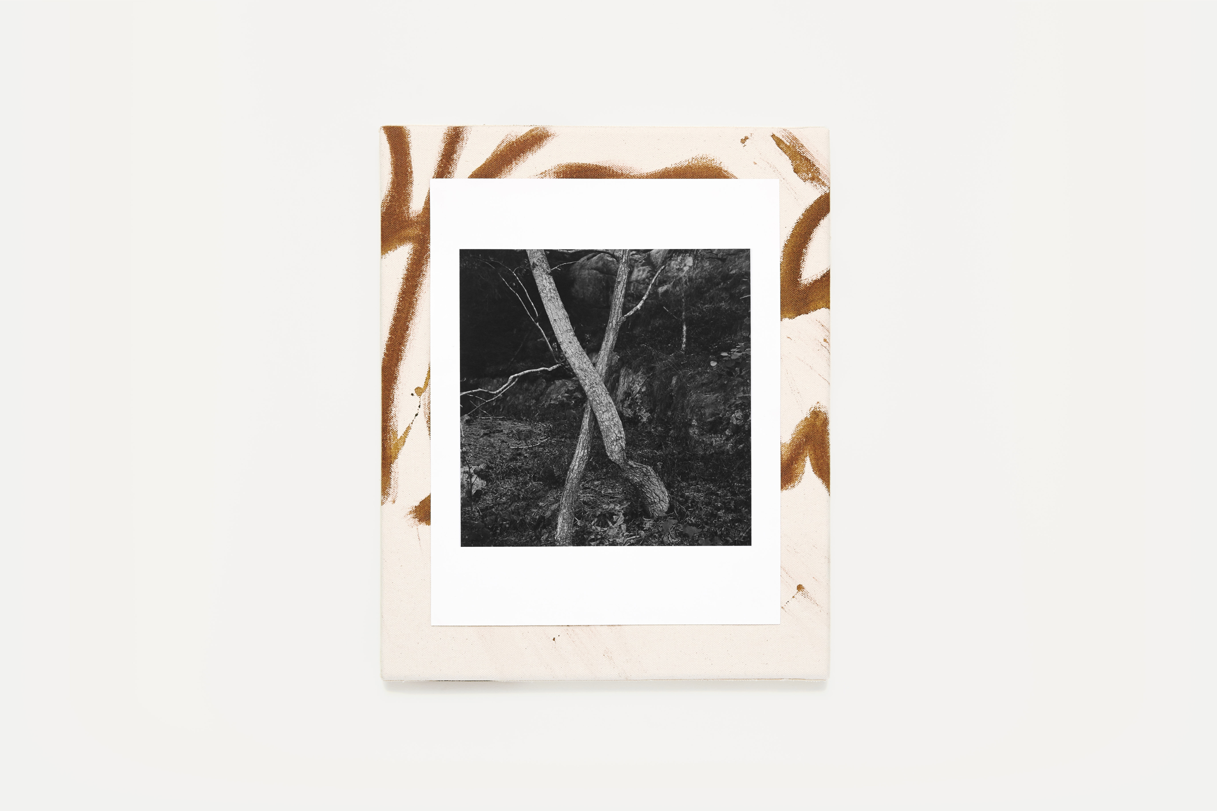 Gunnar Smoliansky — Träd — Book