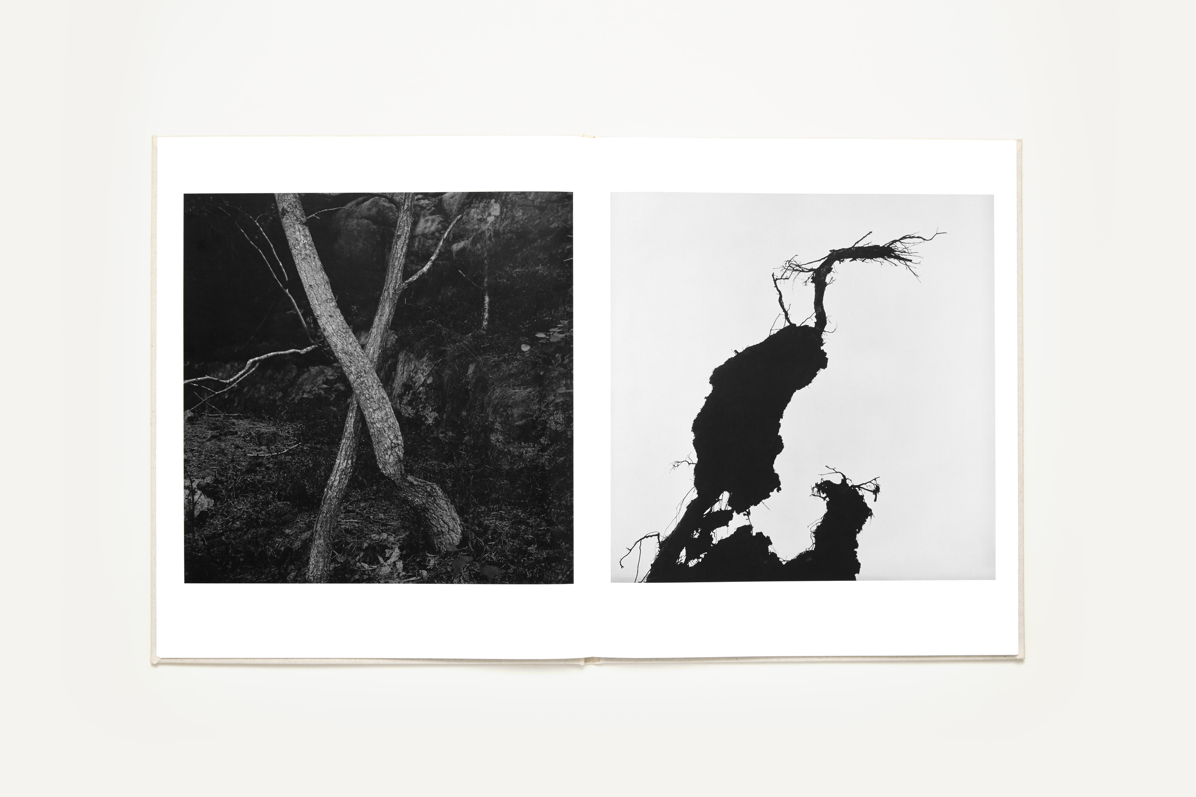 Gunnar Smoliansky — Träd — Book
