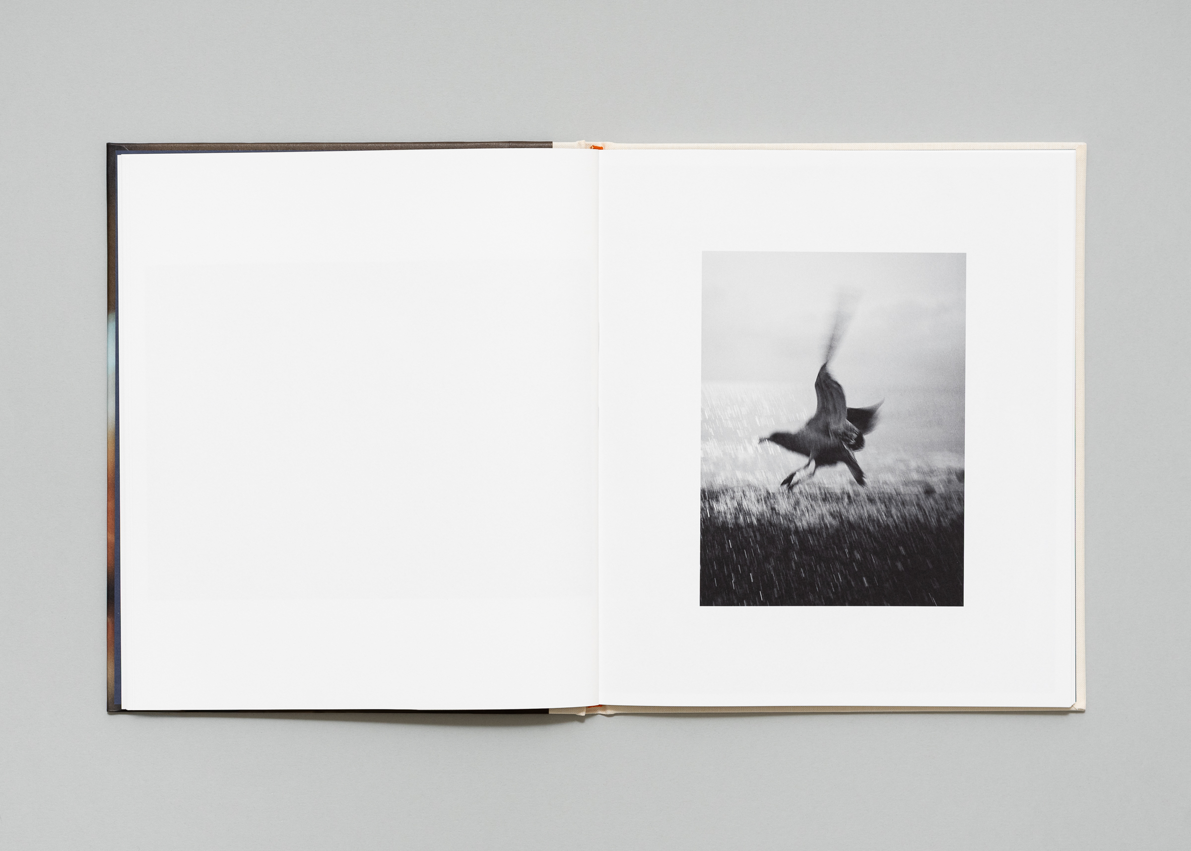 Jan Lehner — Yield — Book