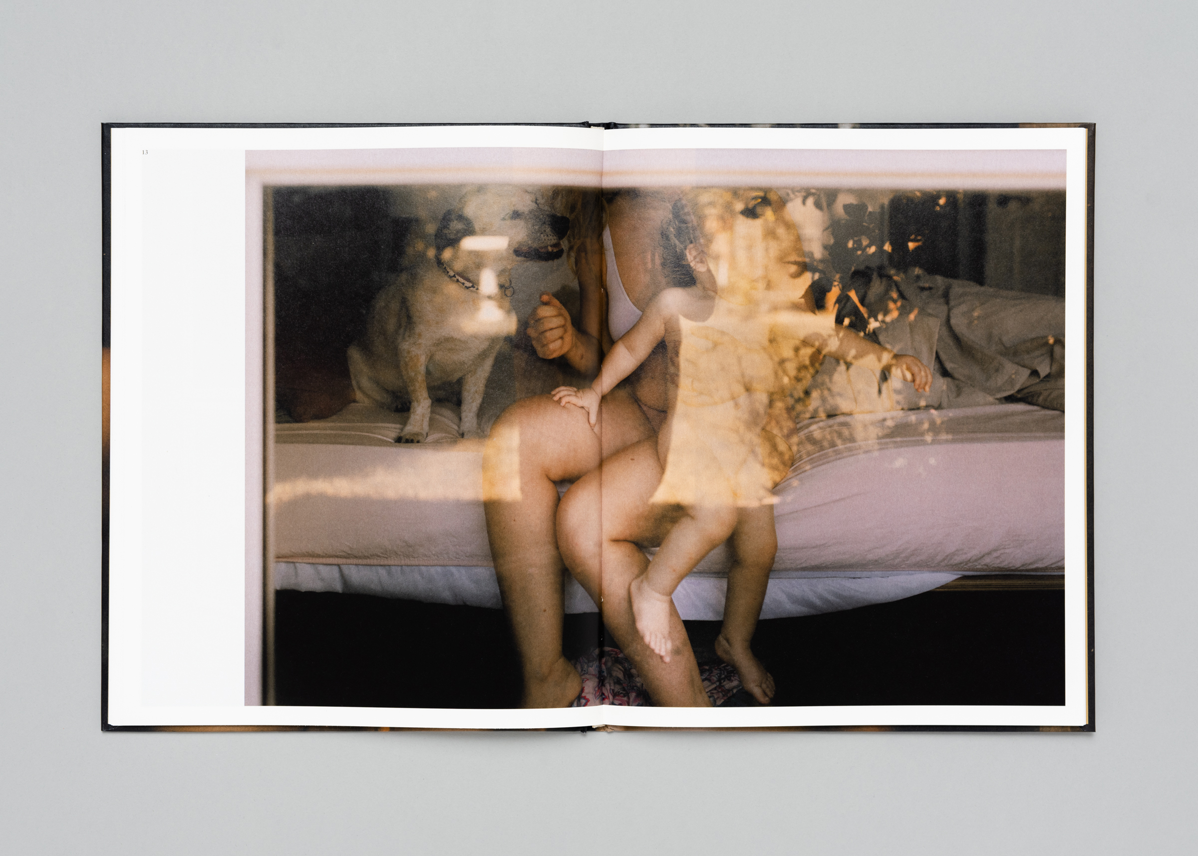 Lisa Sorgini — Behind Glass — Book