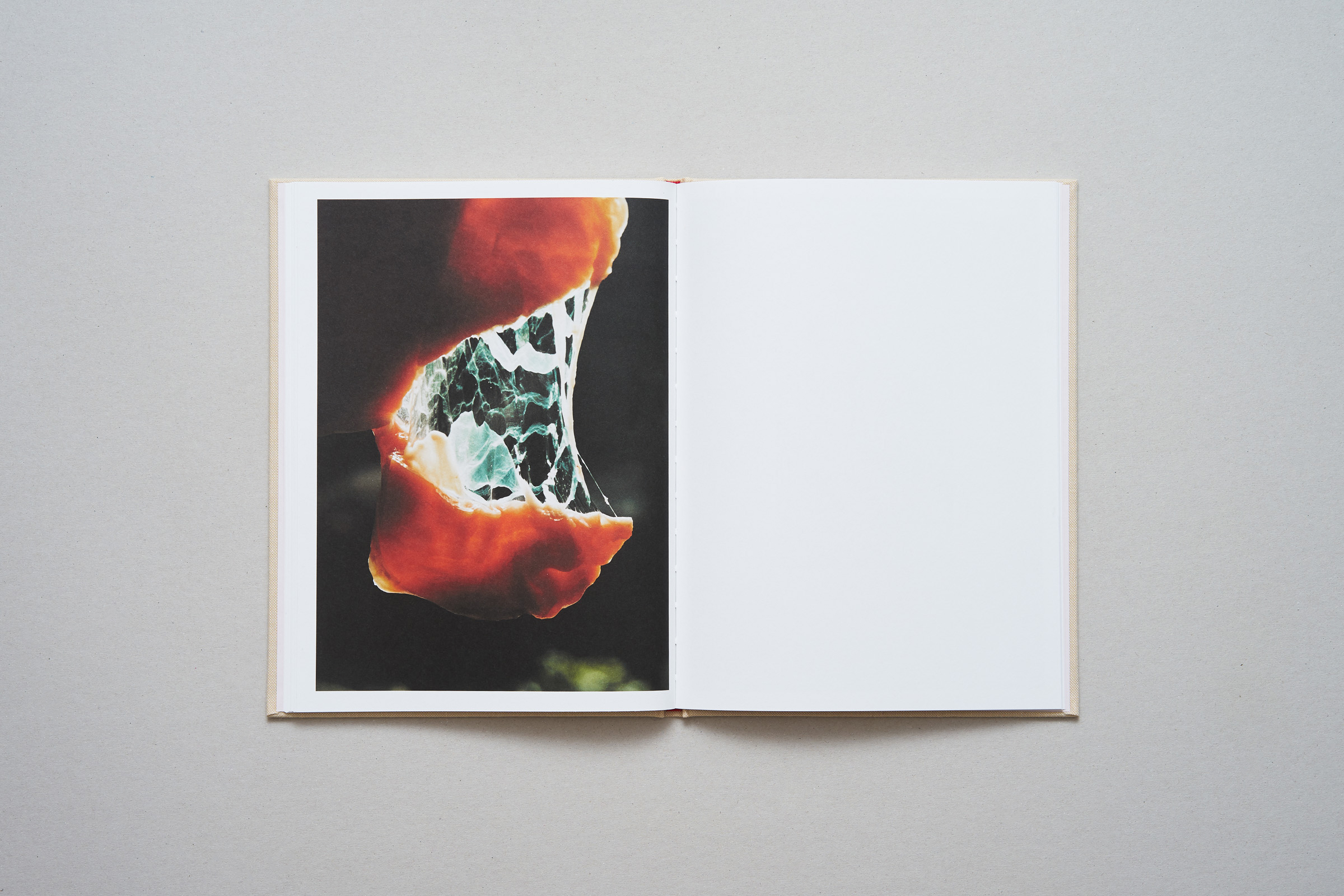 Lucile Boiron — Womb — Book