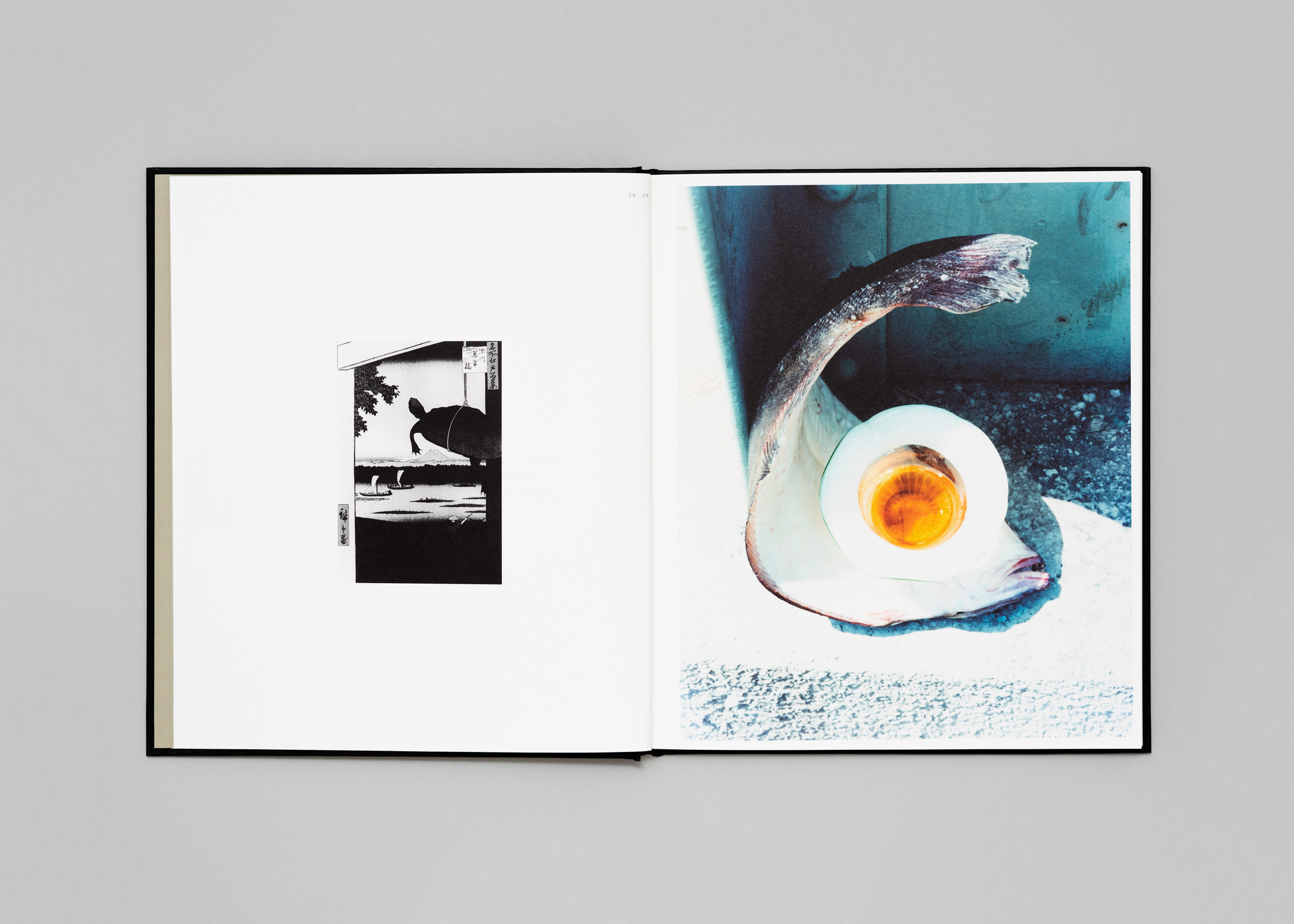 Naohiro Harada — Tokyo Fishgraphs | 2020 — Book