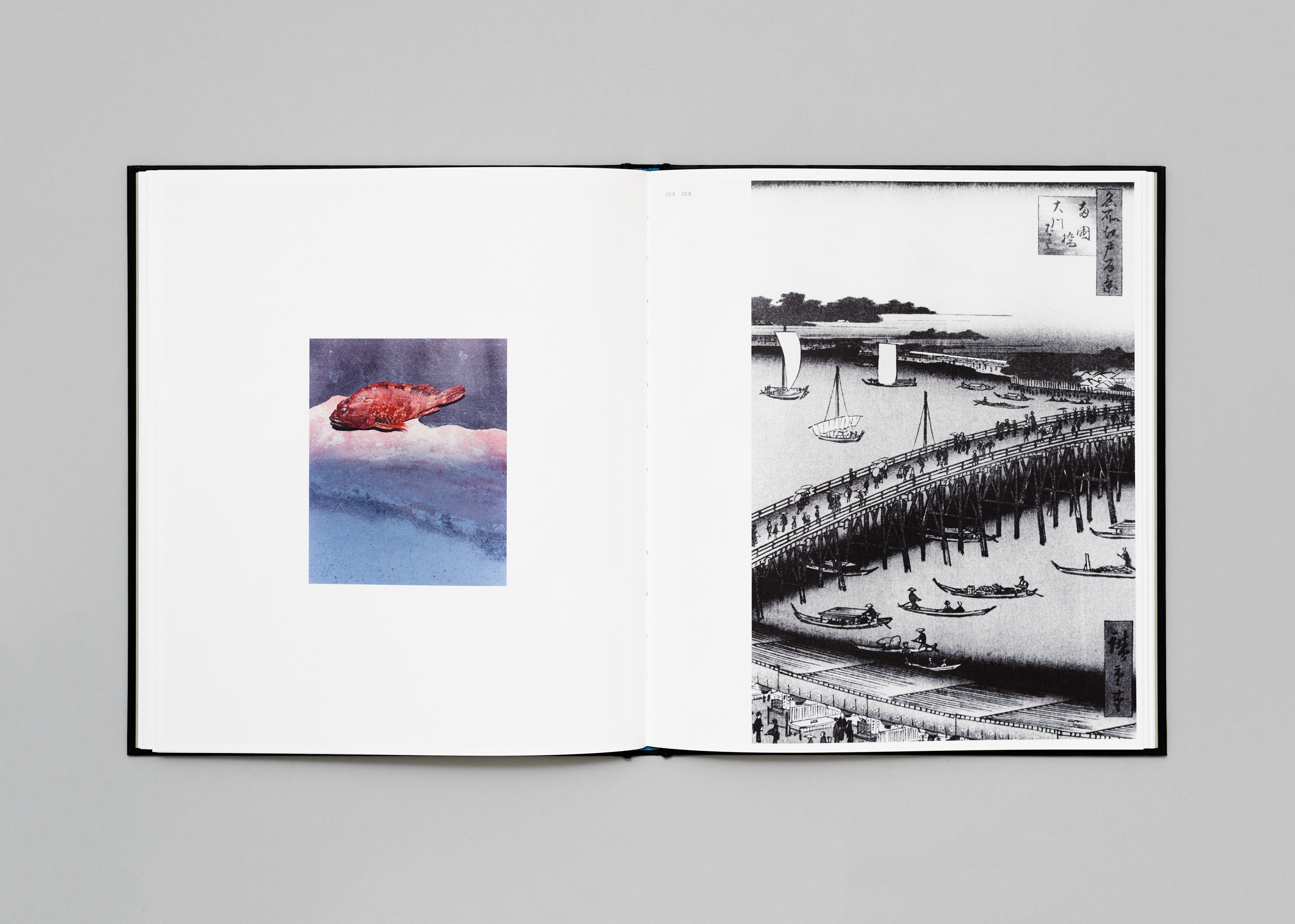 Naohiro Harada — Tokyo Fishgraphs | 2020 — Book