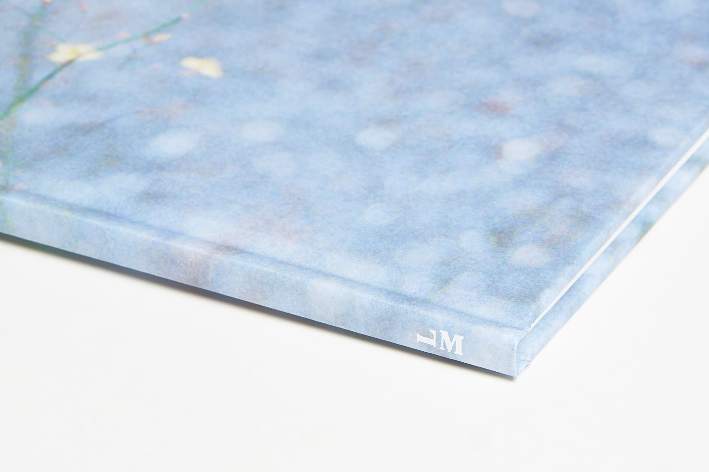 Ola Rindal — Notes on Ordinary Spaces — Book