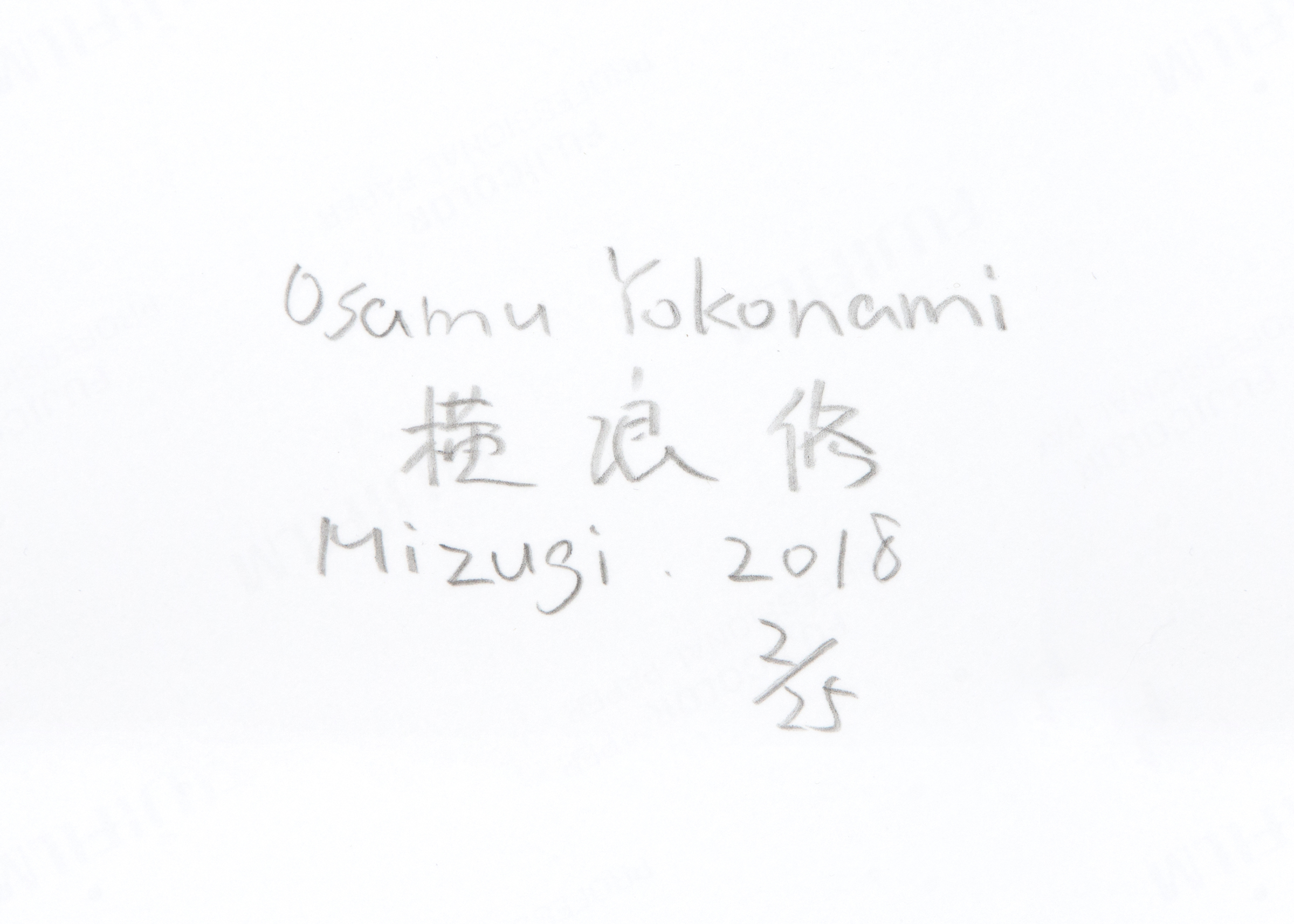 Osamu Yokonami — Mizugi — Book