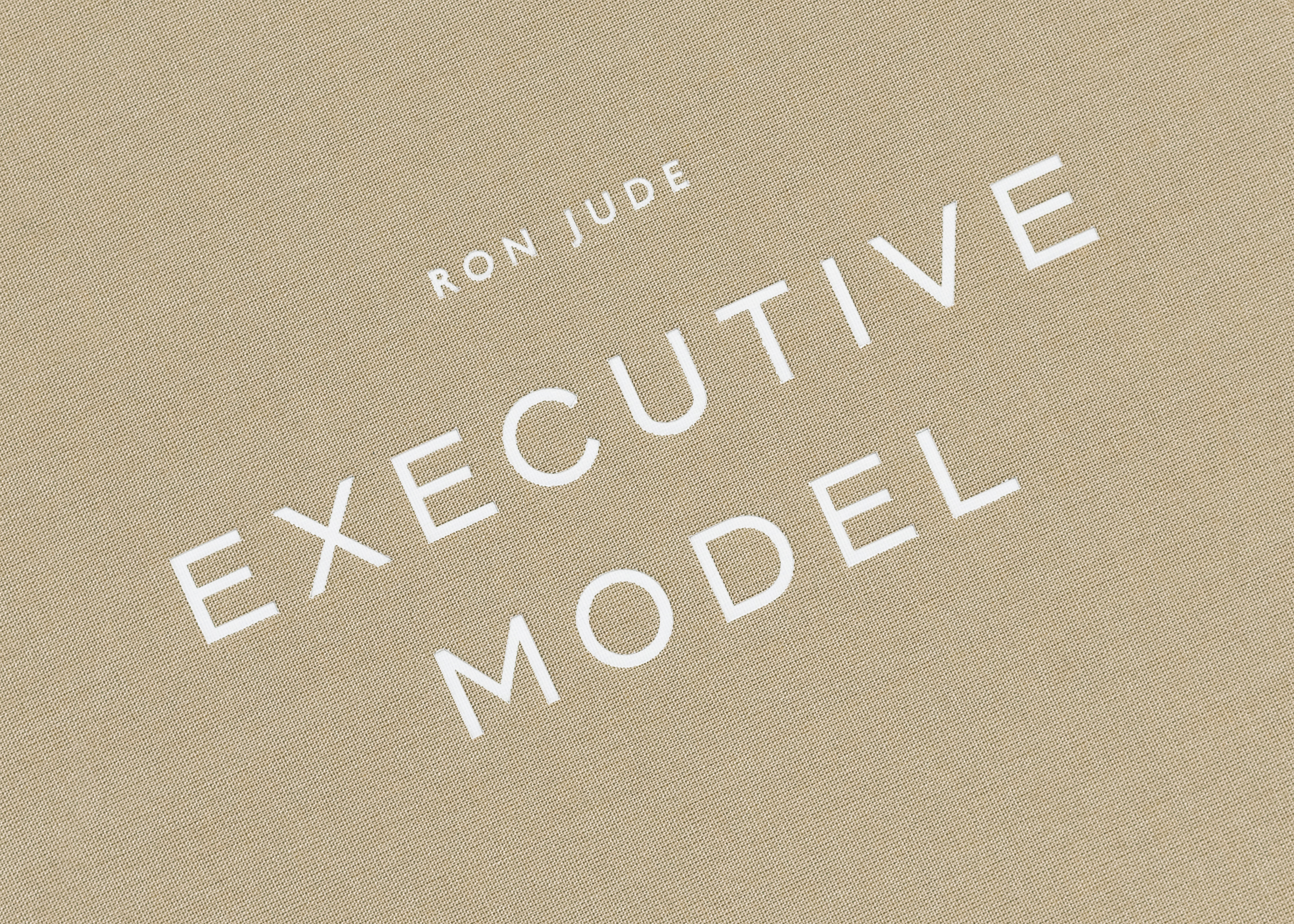 Ron Jude — Executive Model — Book