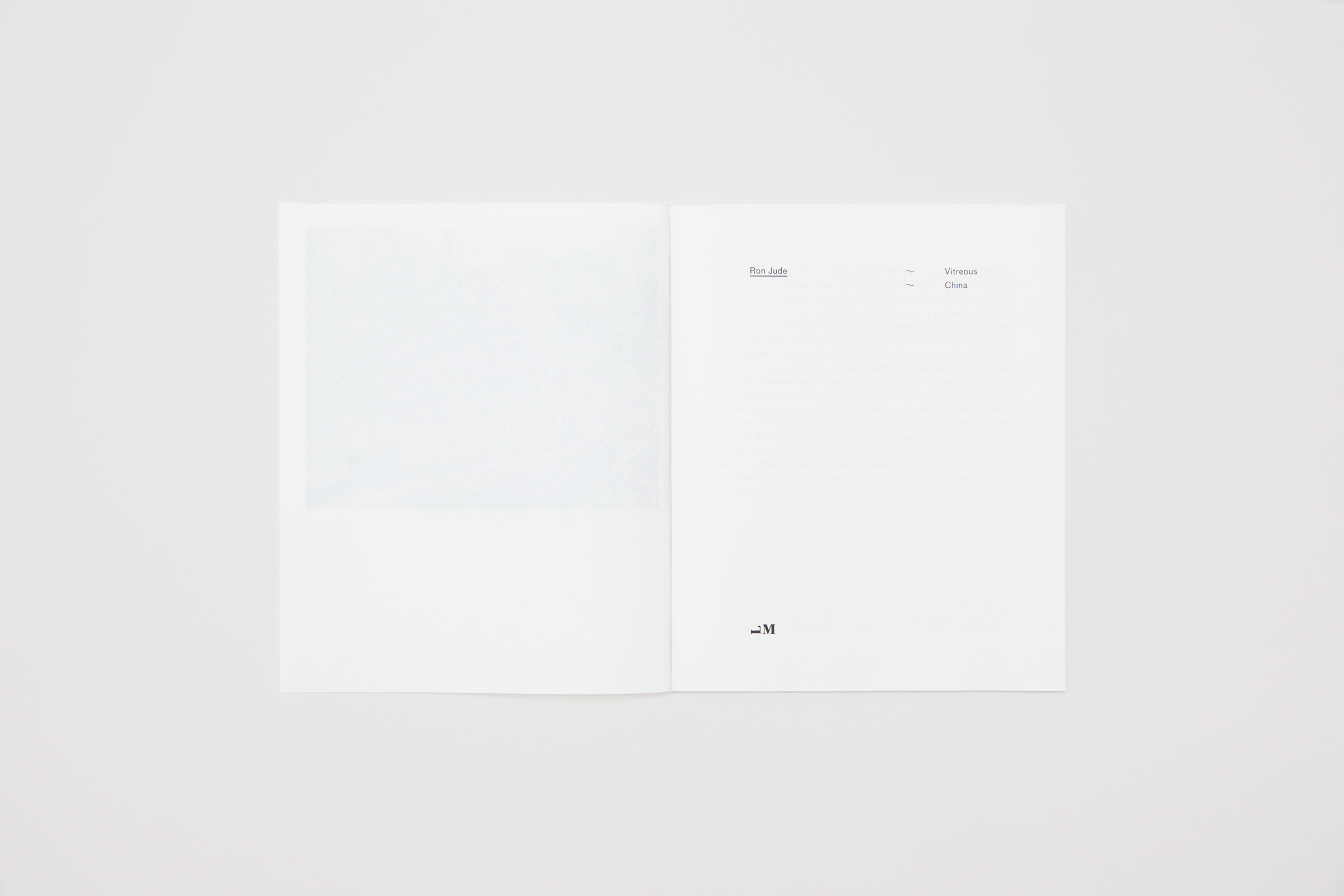 Ron Jude — Executive Model — Book