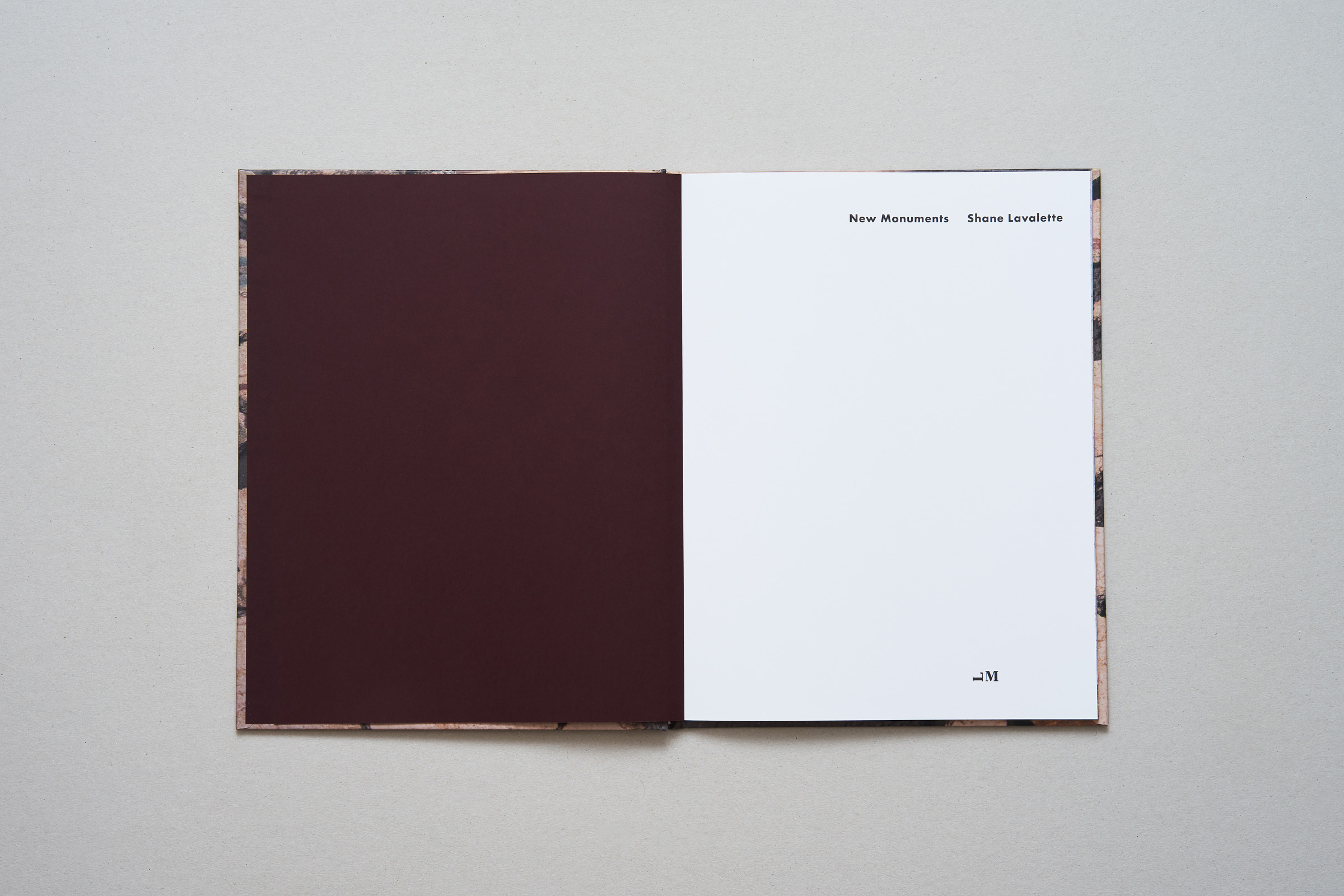 Shane Lavalette — New Monuments — Book